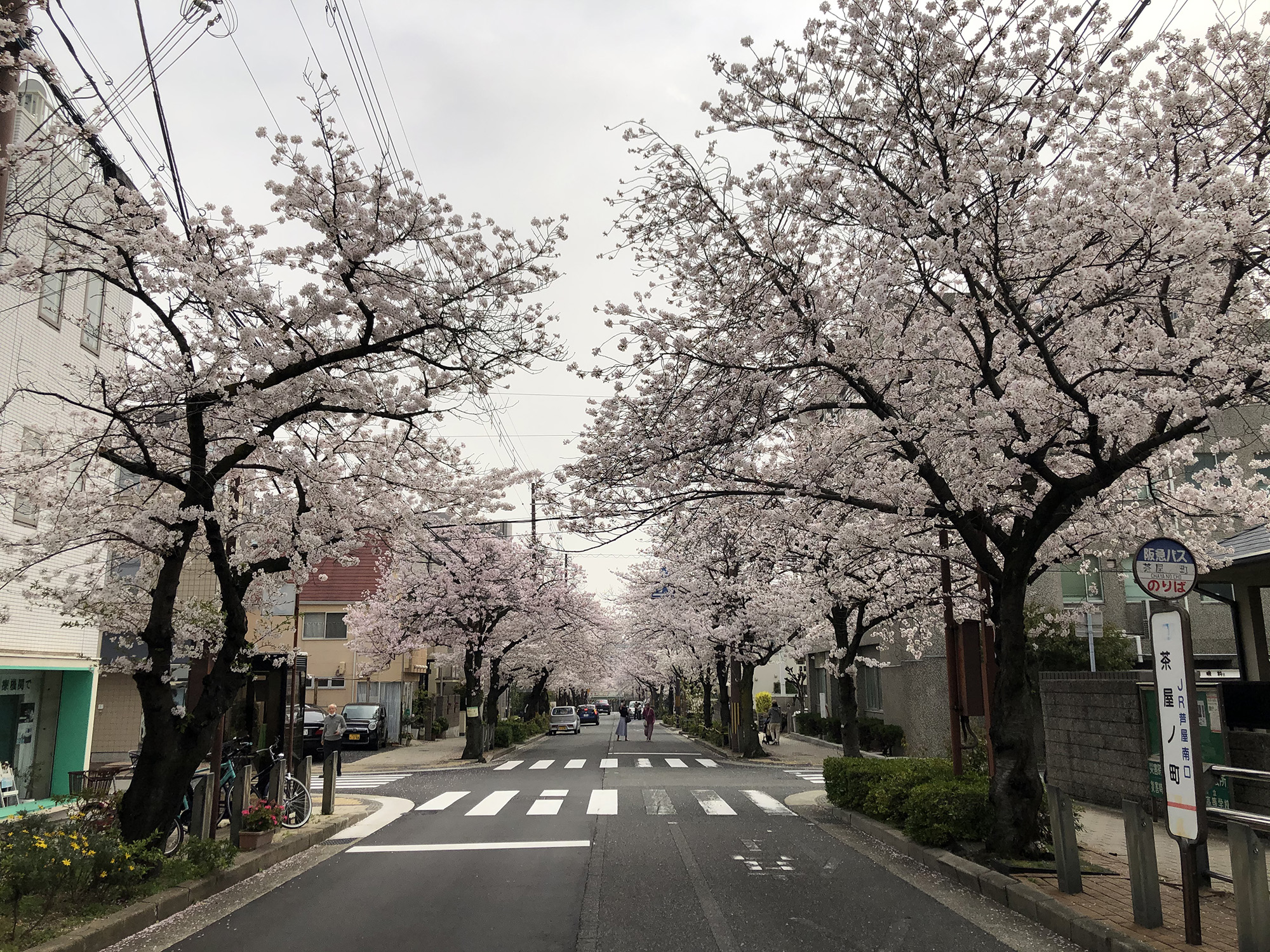 2021年4月1日~5月31日 春のあしや写真コンクール開催