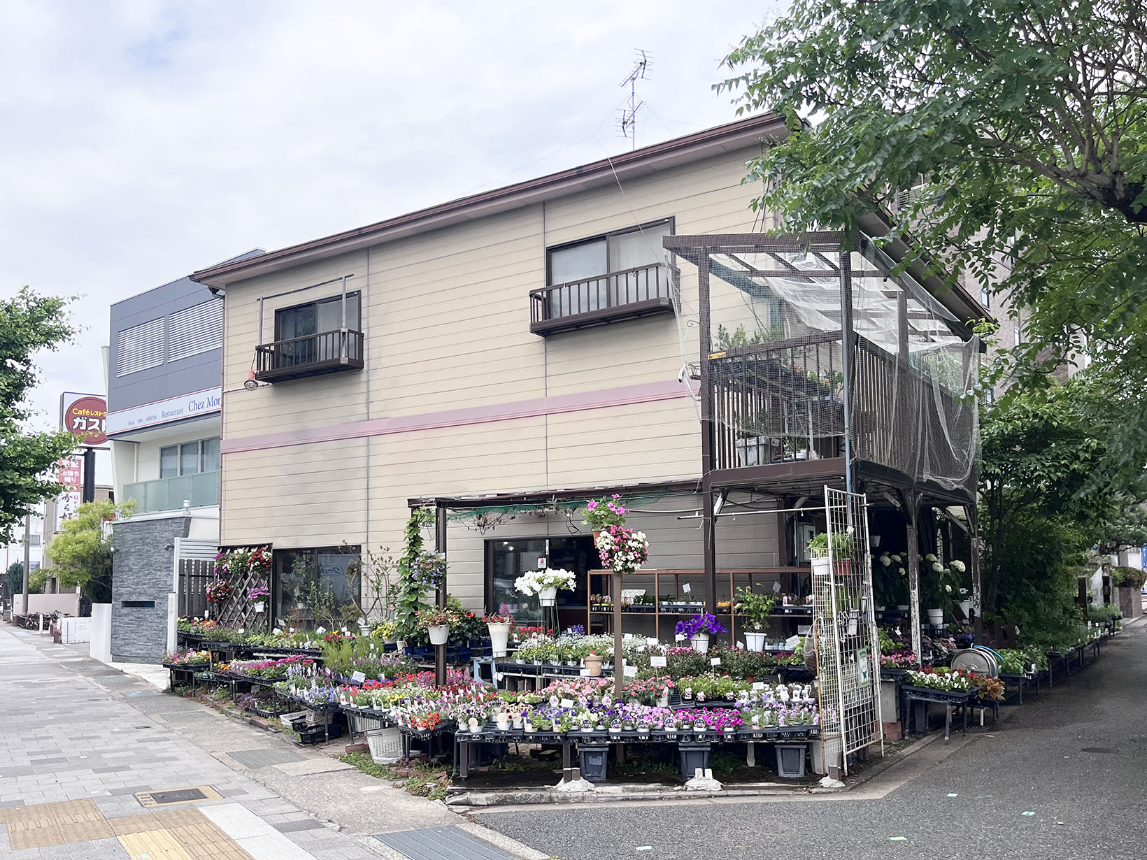 グリーンライフさち
