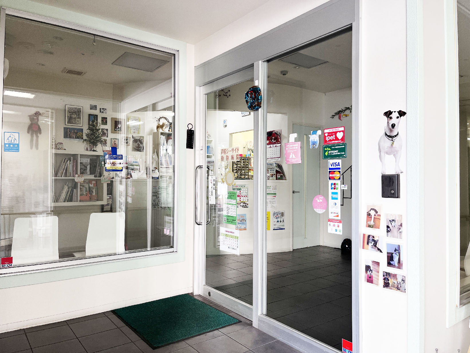 芦屋シーサイド動物病院