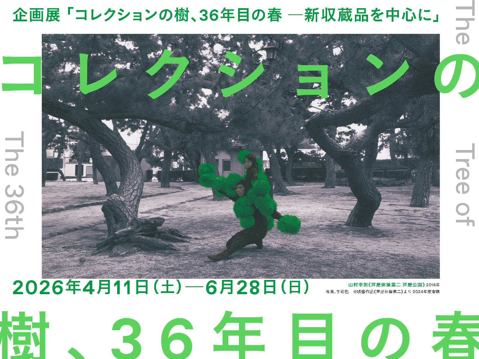 2026年4月11日~6月28日 芦屋市立美術博物館「樹、36年目の春」開催