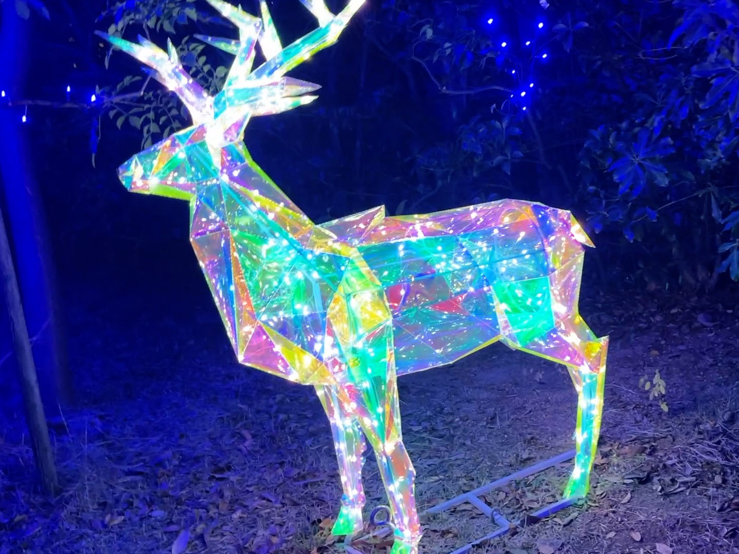 2025年 マルハチ横のライトアップがバージョンアップ