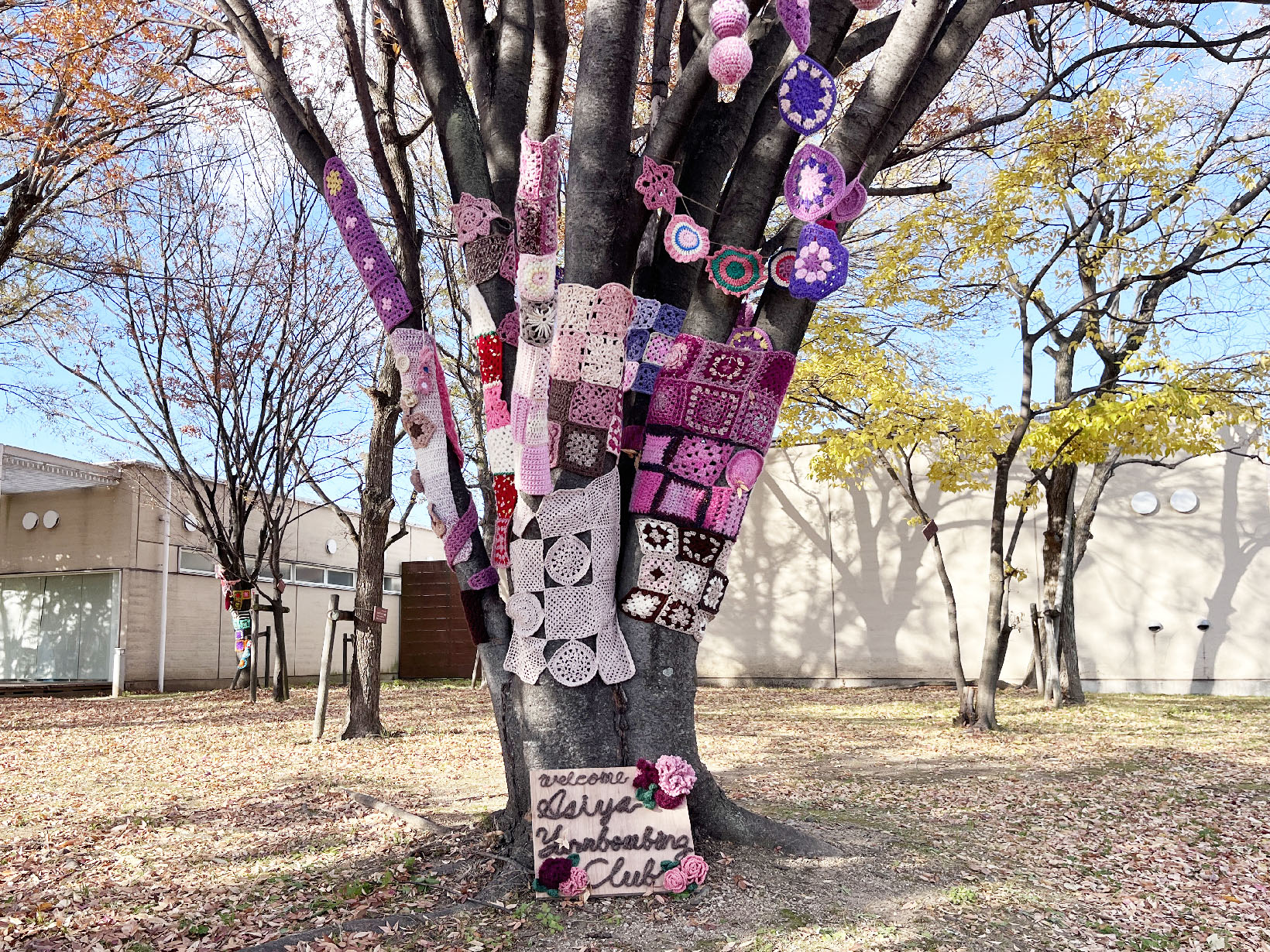 芦屋公園が冬の装い~。2025年のヤーンボミング