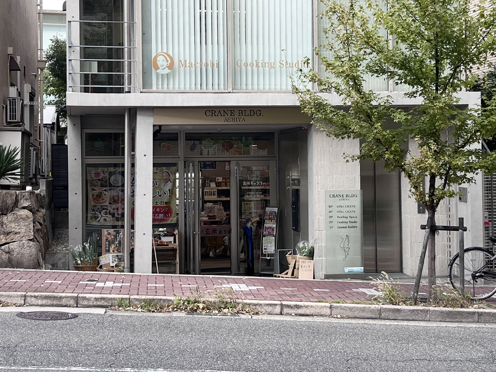 玄米ギャラリー