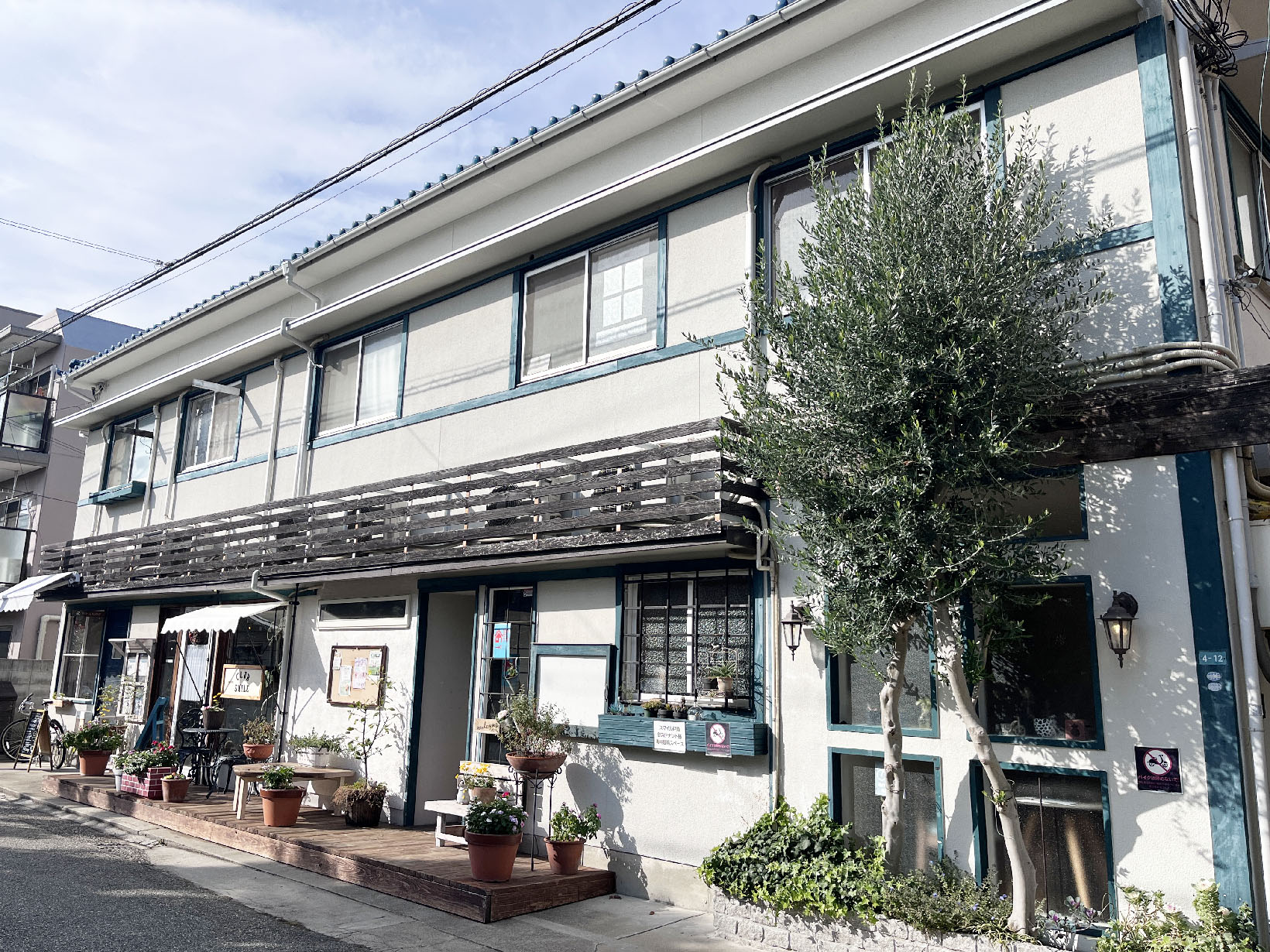 根っ子屋(ねっこや)