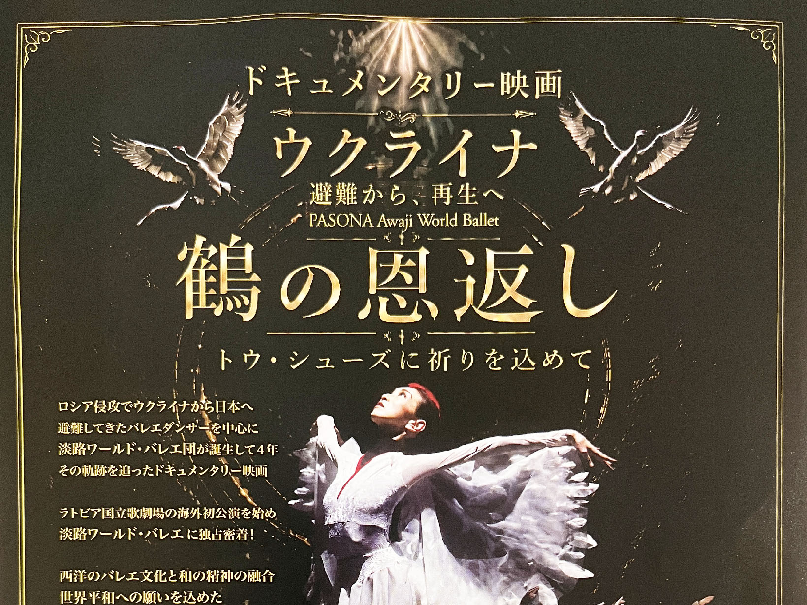 2026年7月31日 芦屋で上映『鶴の恩返し』 ウクライナ避難ダンサーを追ったドキュメンタリー映画【7月31日】